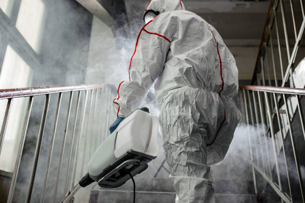 Biohazard Mold Removal in Eastport, ME